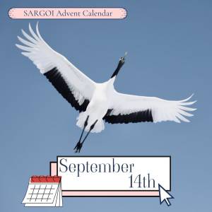 International Crane Day